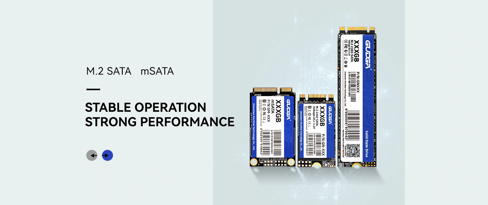 Diskon Cina Produsen SSD SATA M.2