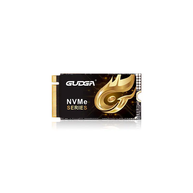 2242 PCIE 4.0 NVMe SSD 7000MB/dtk