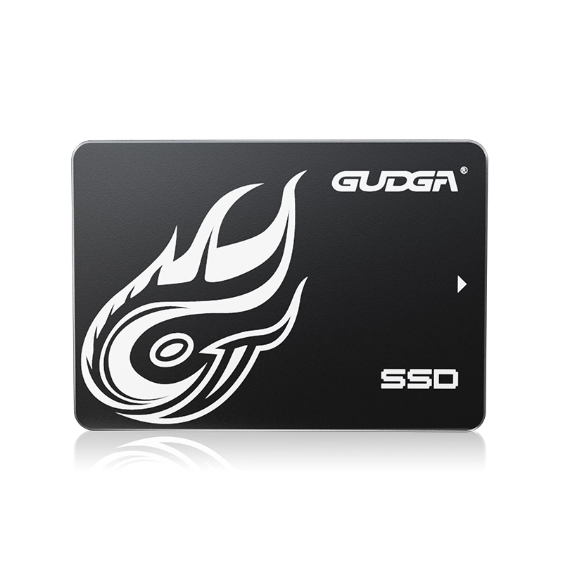 SSD SATA Kecepatan Tinggi